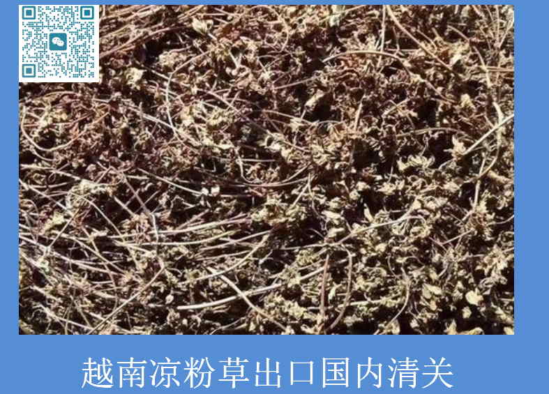 越南涼粉草出口國內(nèi)清關(guān).jpg